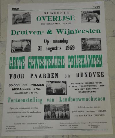 Original Digitalni objekt not accessible