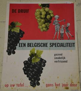 De druif, een Belgische specialiteit